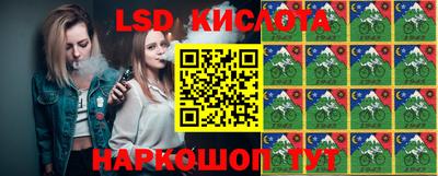 стафф Донской