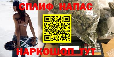 стафф Донской