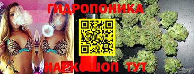 стафф Донской
